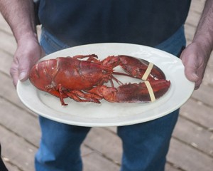 2014_Lobster_045